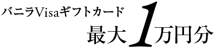 バニラVisaギフトカード 最大１万円分